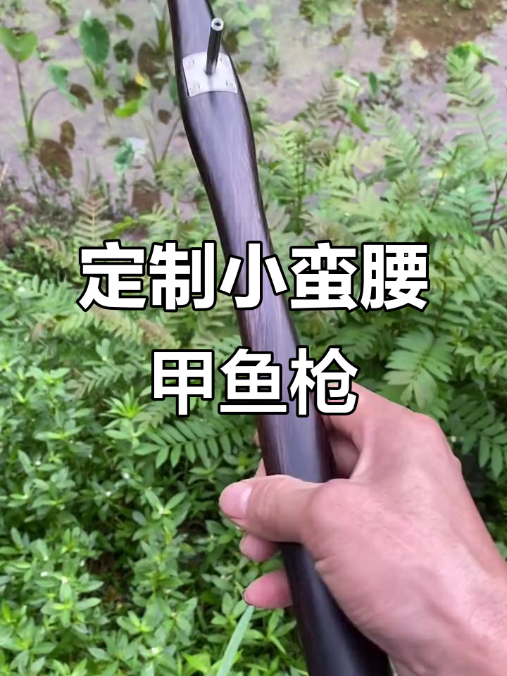 小蛮腰光面甲鱼枪,紫光檀防滑款定制详解