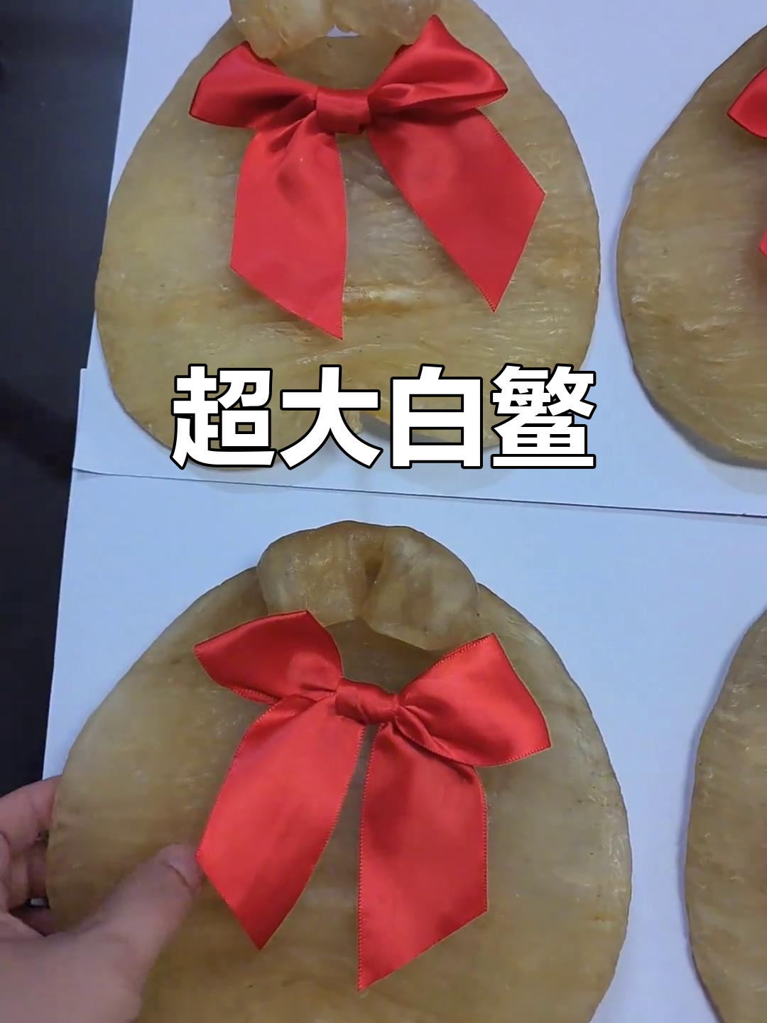 白鳘鱼重达5两,价格超千元!