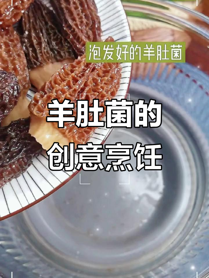 羊肚菌煲汤新做法,解锁更多美味吃法