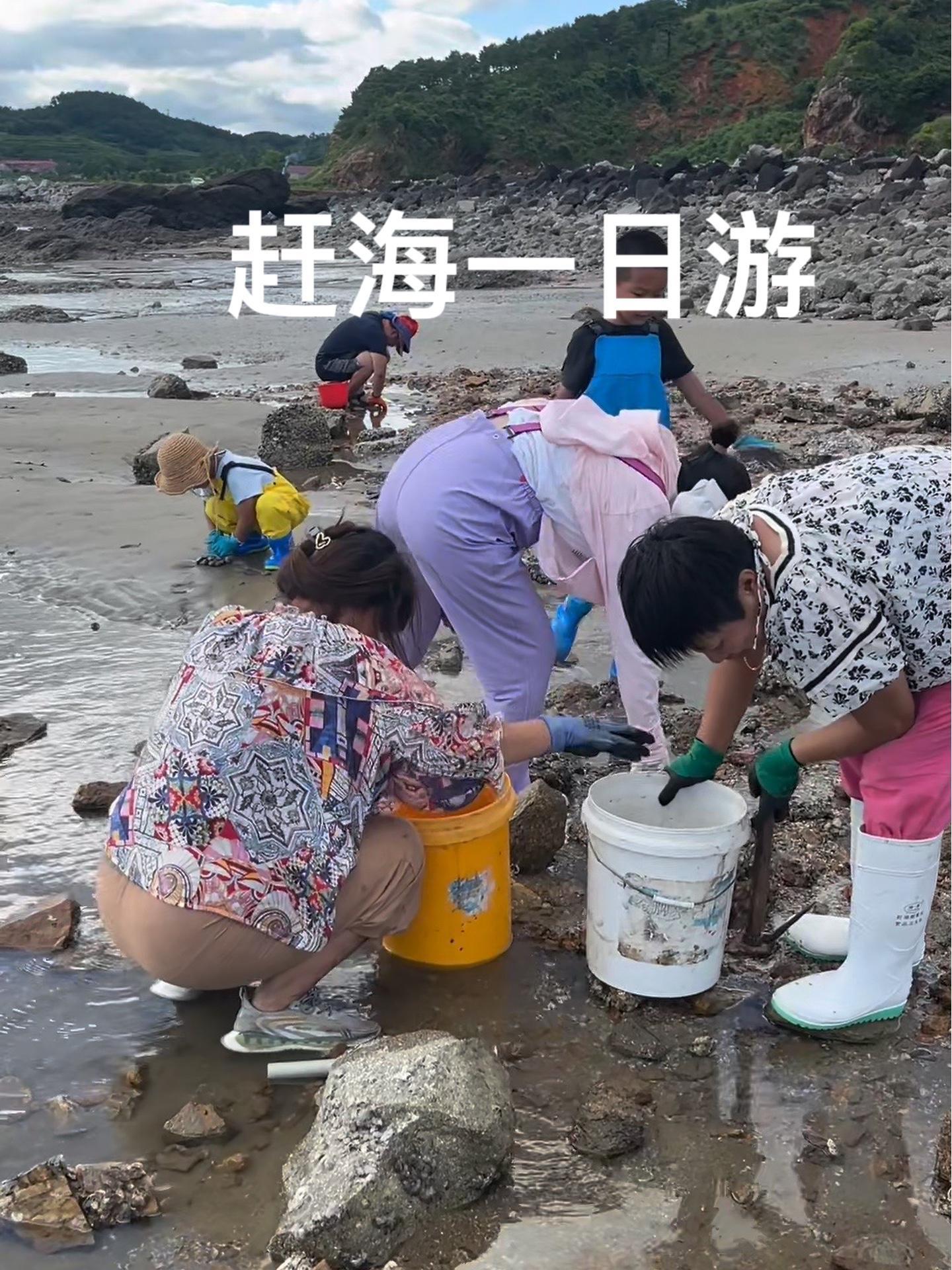 庄河赶海农家乐一日游,有山有海有河流,农家饭太好吃安康鱼肚绝 赶海 暑期这里最好玩 农家柴