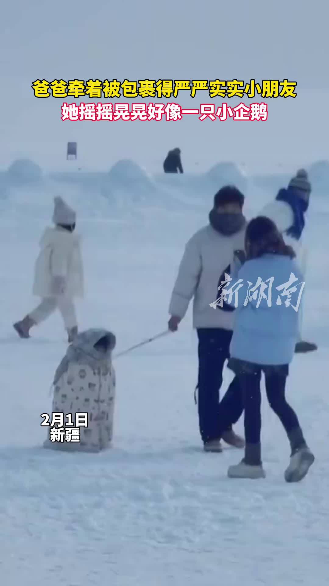 爸爸牵着被包裹得严严实实小朋友,她摇摇晃晃好像一只小企鹅 雪地里撒欢