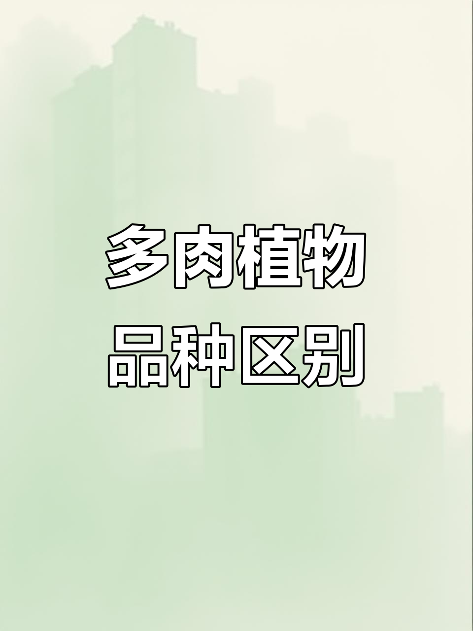 仙桃与西府海棠多肉对比,朱砂痣也来了!