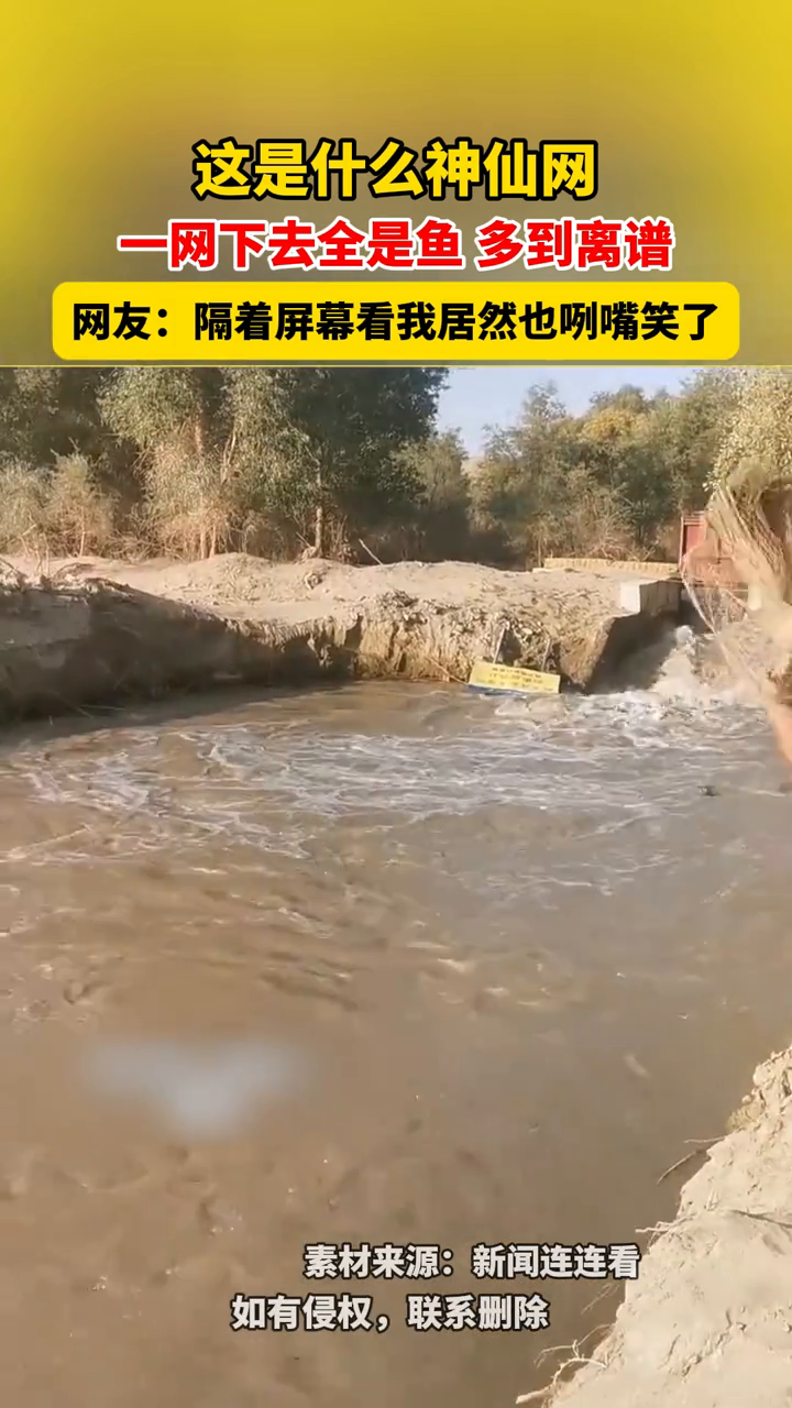 一网下去全是鱼,多到离谱!