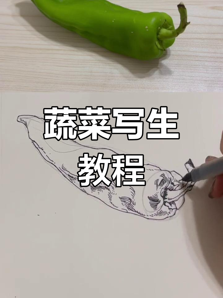 青椒写生技巧:从整体到细节的刻画