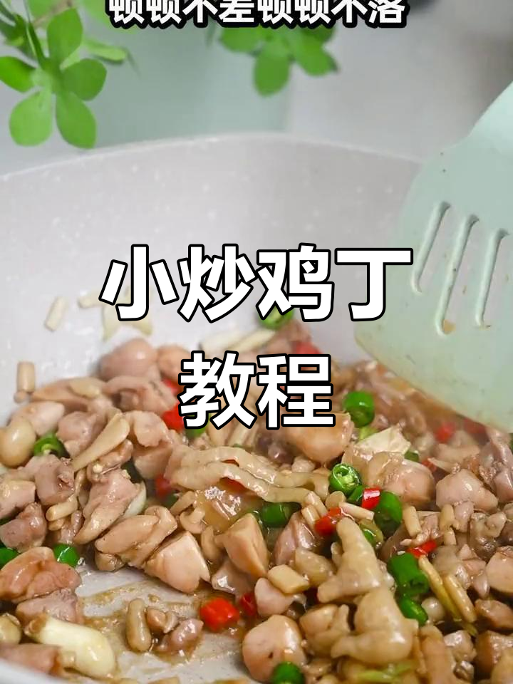 轻松做美味小炒鸡丁,家常下饭必备
