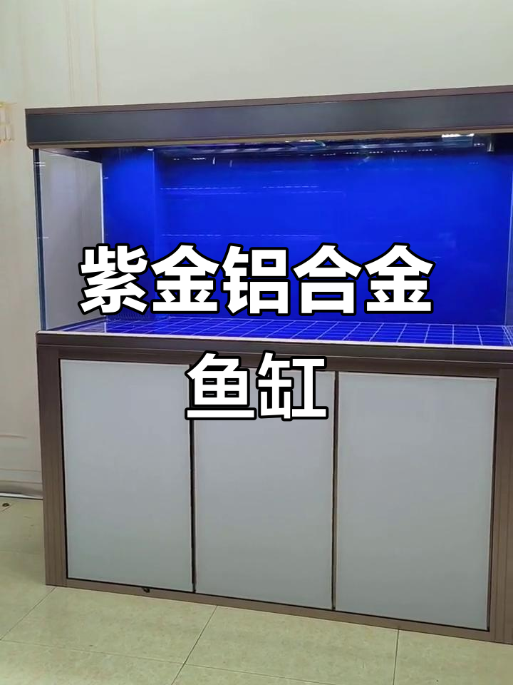 紫金铝合金龙缸设计,精准尺寸定制家装鱼缸