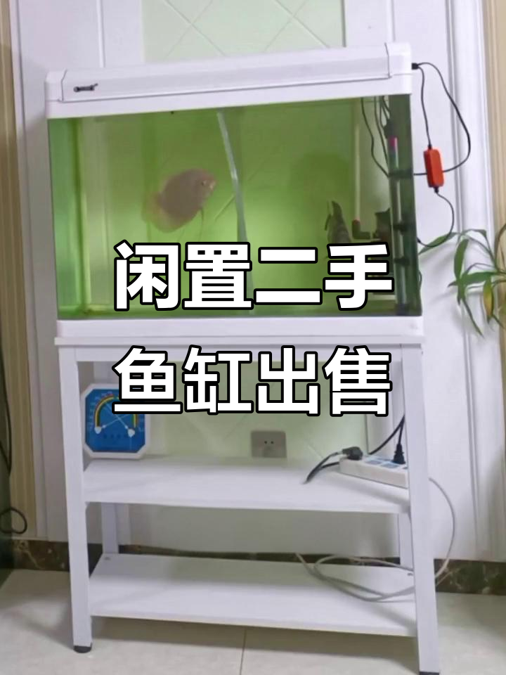 二手鱼缸及底座低价转让,尺寸80x60x38,自提可议价