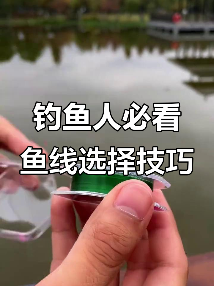 野钓必备鱼线搭配,轻松应对大小鱼类