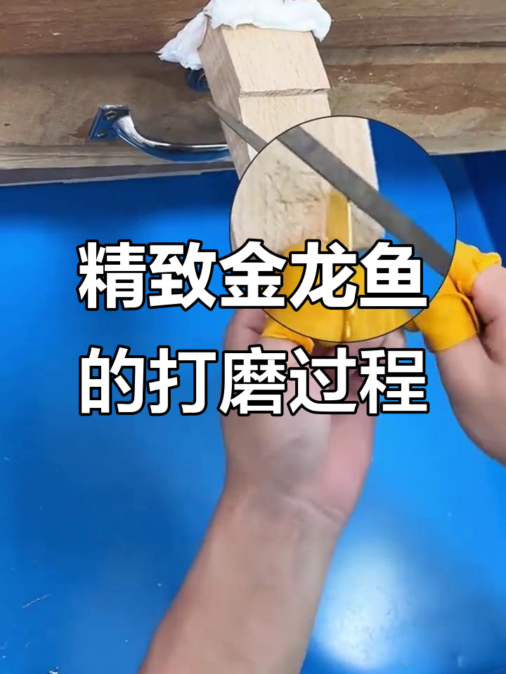 金龙鱼精修揭秘:最朴素的修剪方式背后的秘密