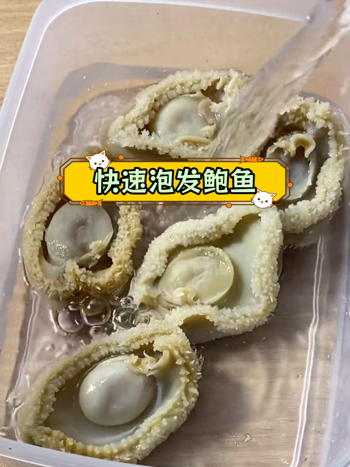 干鲍鱼泡发技巧,轻松滋补养生