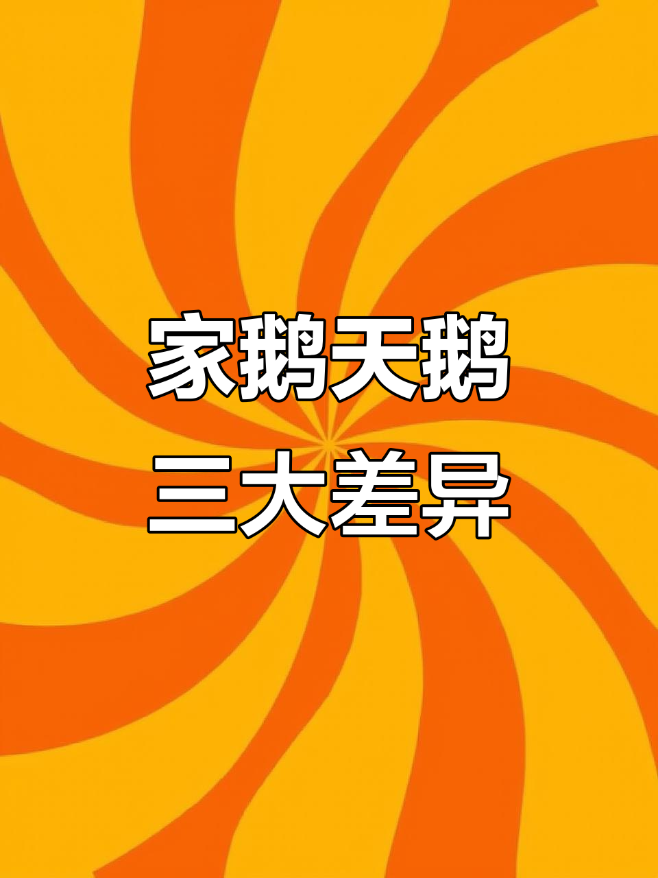 天鹅与家鹅的区别,你了解吗?