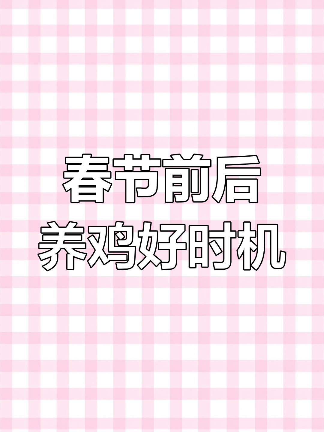五个月湘黄鸡,即将下蛋,过年抱窝,年后孵小鸡正当时