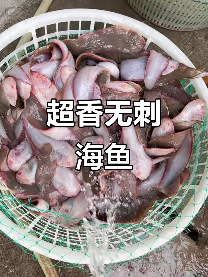 新鲜野生他米鱼，无刺嫩滑，宝宝轻松吃！