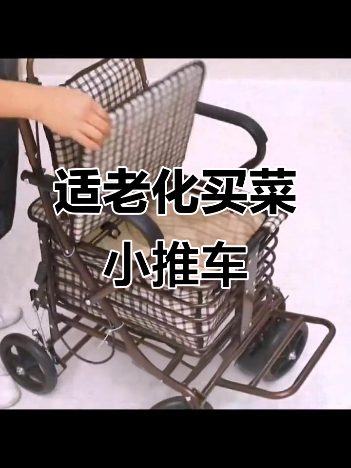 老人买菜更轻松,这款小推车必备