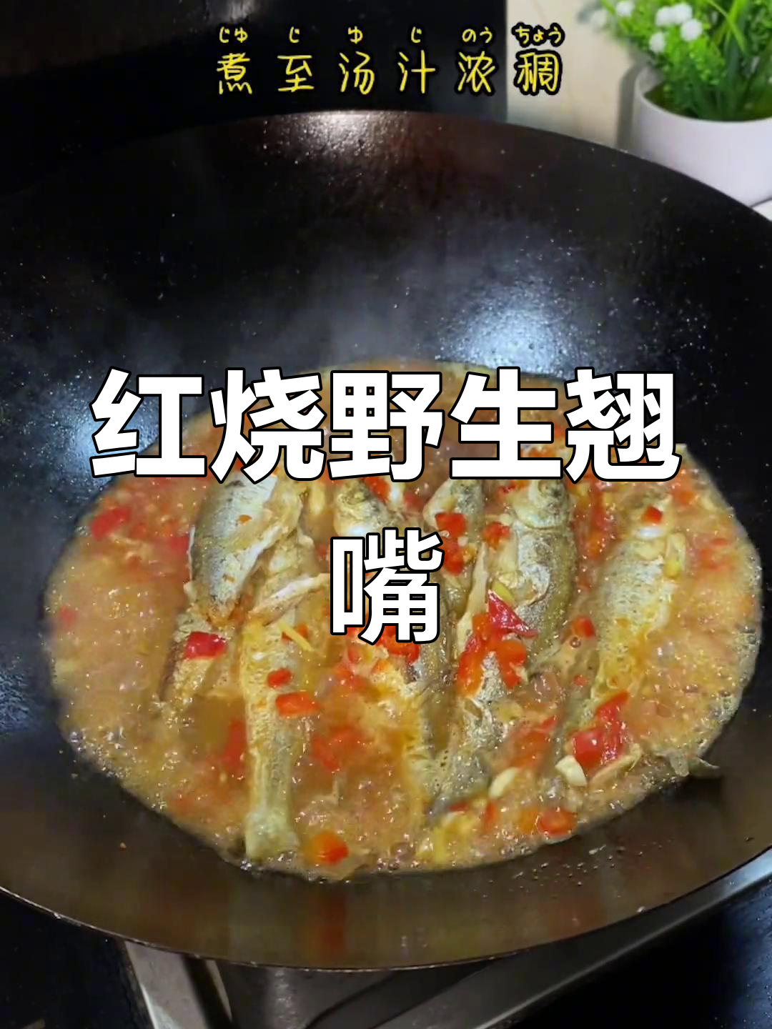 老公钓野生小翘嘴,红烧做法超下饭