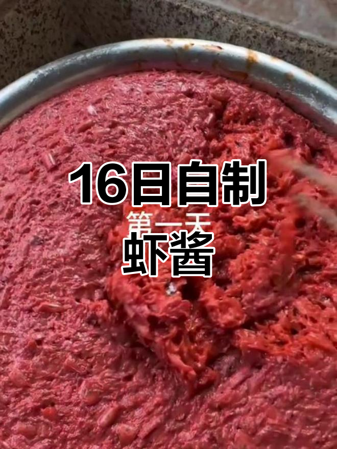 自制虾酱晒足16天,纯天然无添加的独特风味
