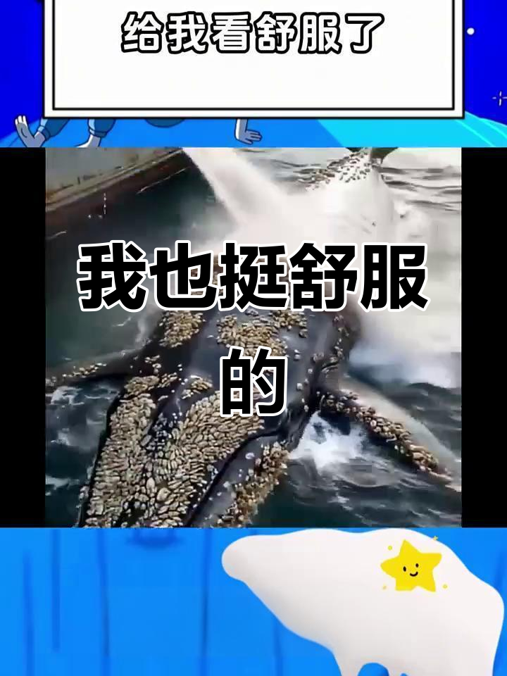 金鱼舒服与否我不知,但我确实很享受