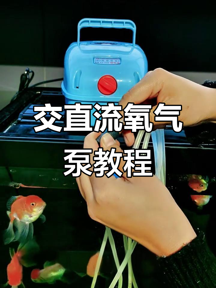 交直流氧气泵安装与使用指南，轻松搞定鱼缸增氧
