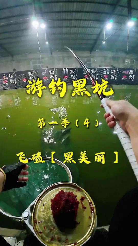 飞磕鲫鱼,体验天津黑美丽