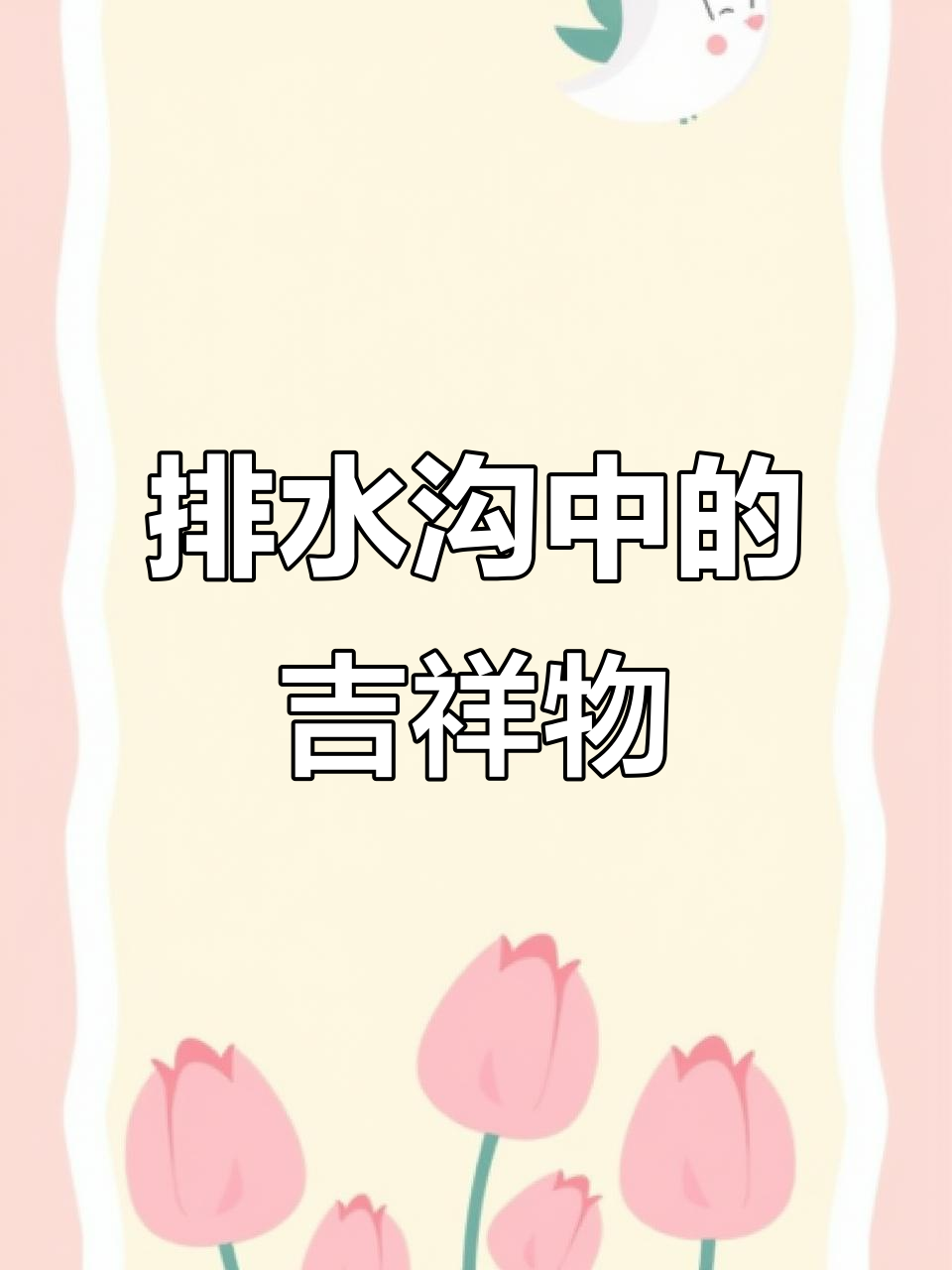 日本排水沟里的锦鲤:不仅是观赏鱼,还有净化水质的作用