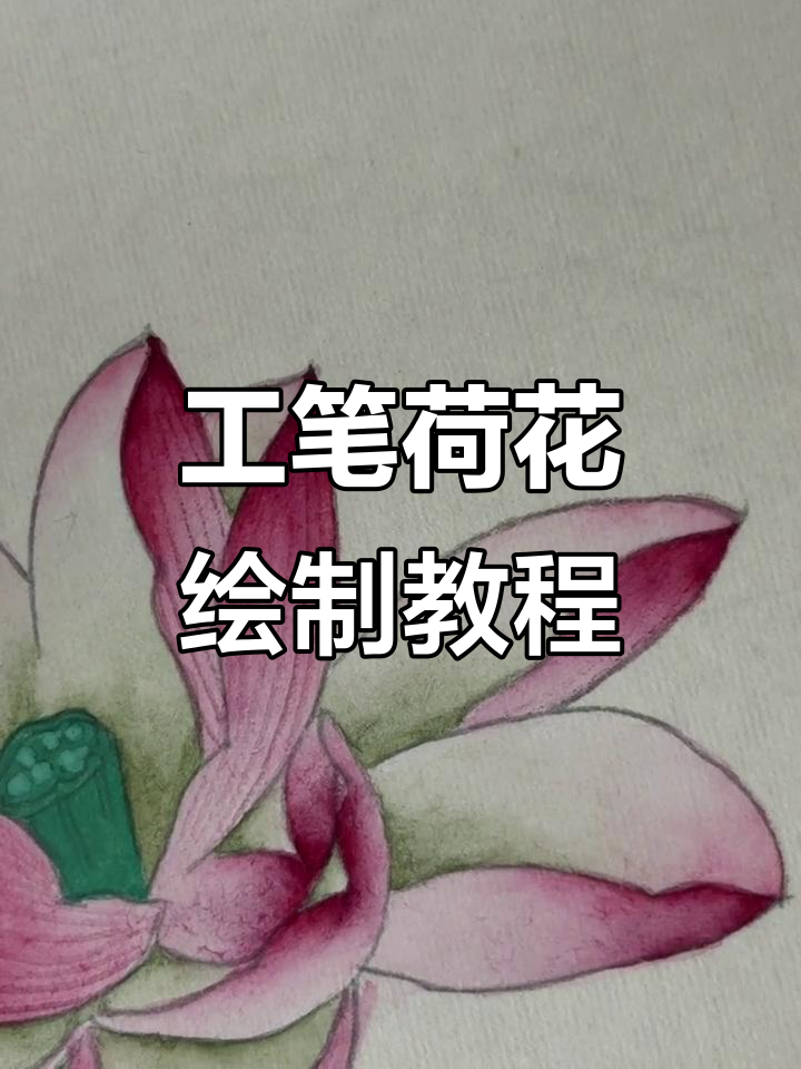荷花工笔画技巧:从花瓣到花蕊的细致描绘