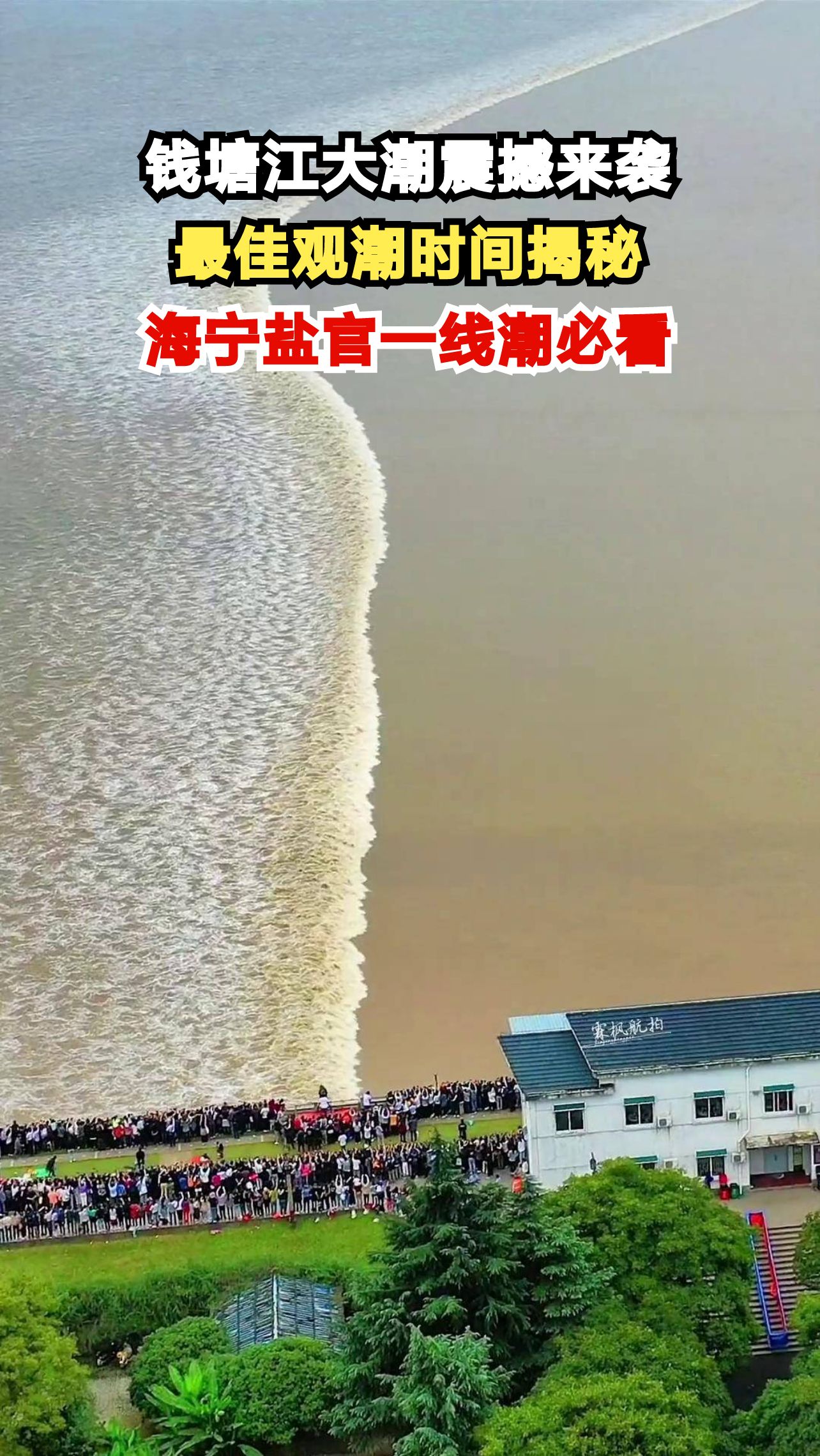 2025钱塘江大潮时间表出炉！这5个绝佳观潮点错过后悔一整年