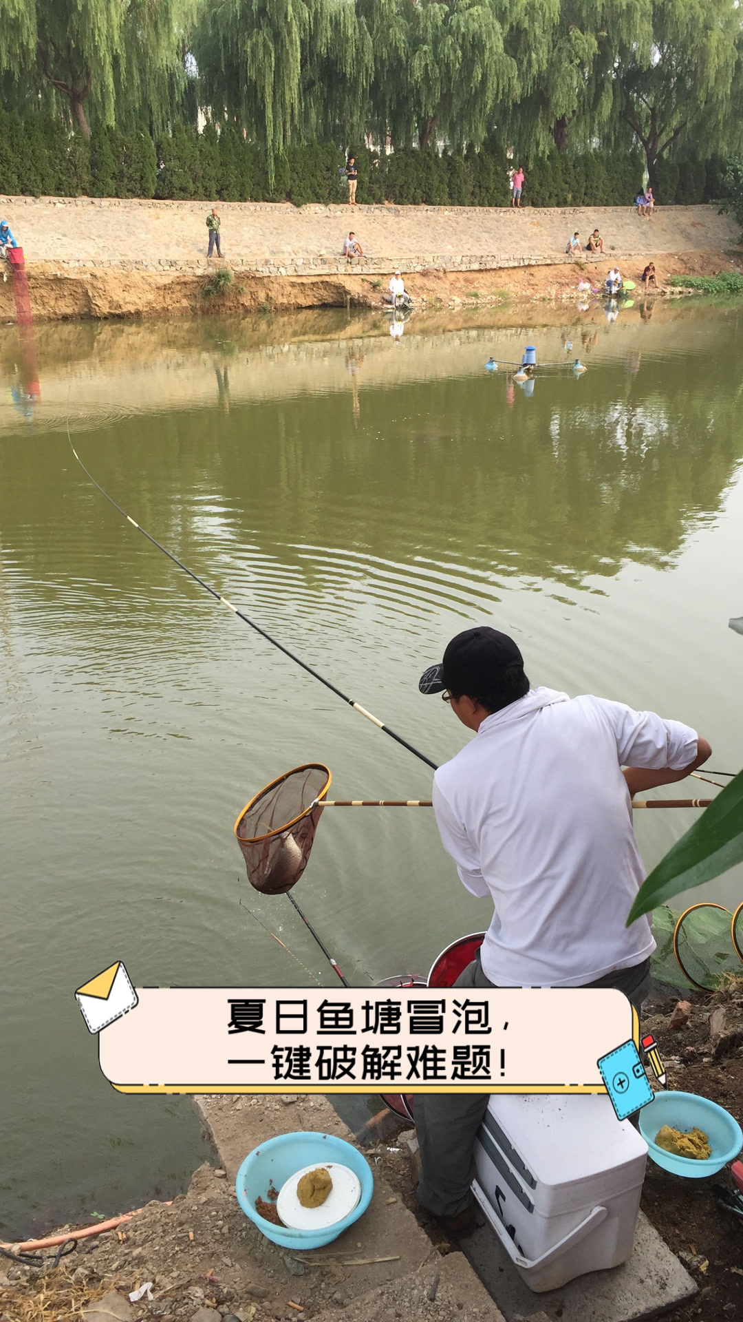 夏日鱼塘冒泡,一键破解难题!