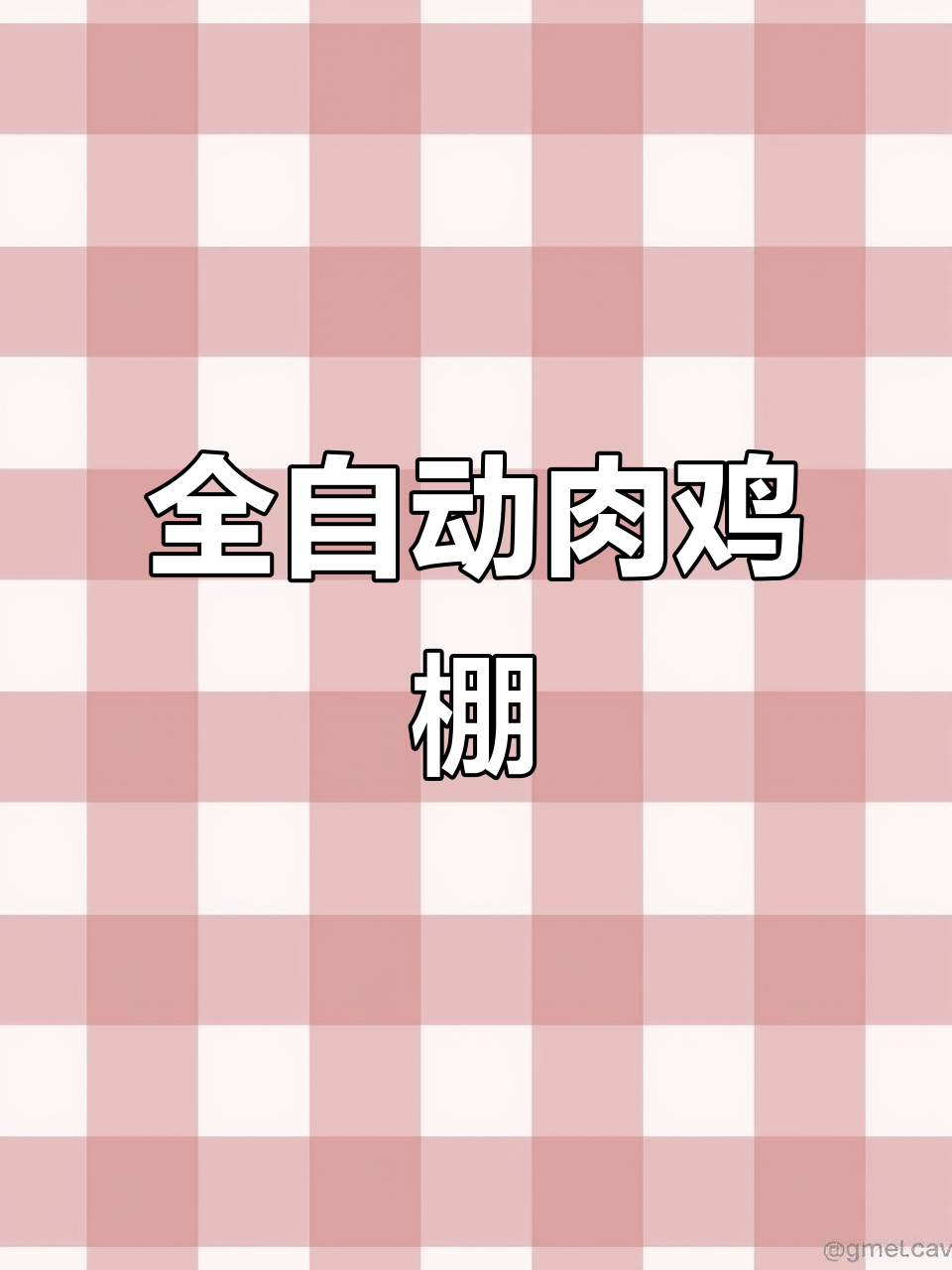 石家庄康发机械设备:全自动化肉鸡养殖设备,轻松管理2.3万只