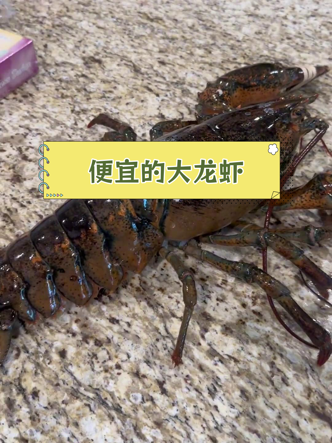 美国大龙虾超值,但处理太麻烦