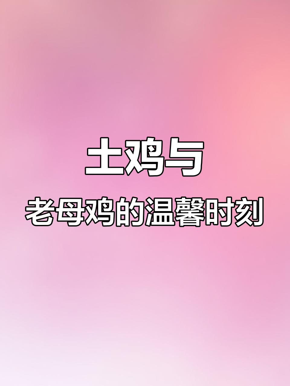 老母鸡带小鸡,健康又可爱