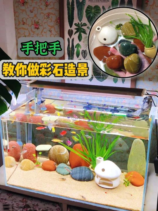 鱼缸造景,新手养鱼,彩色石头怎么摆弄好看?