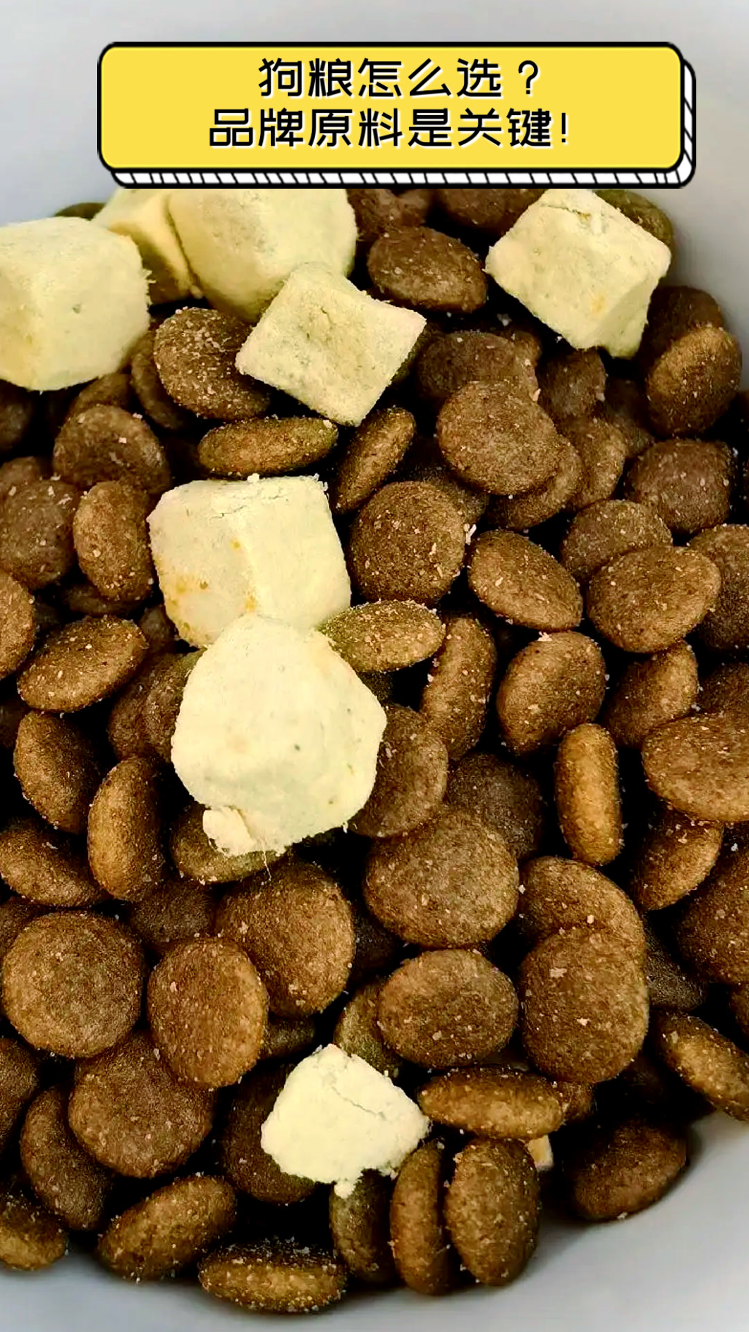 狗粮怎么选?品牌原料是关键!