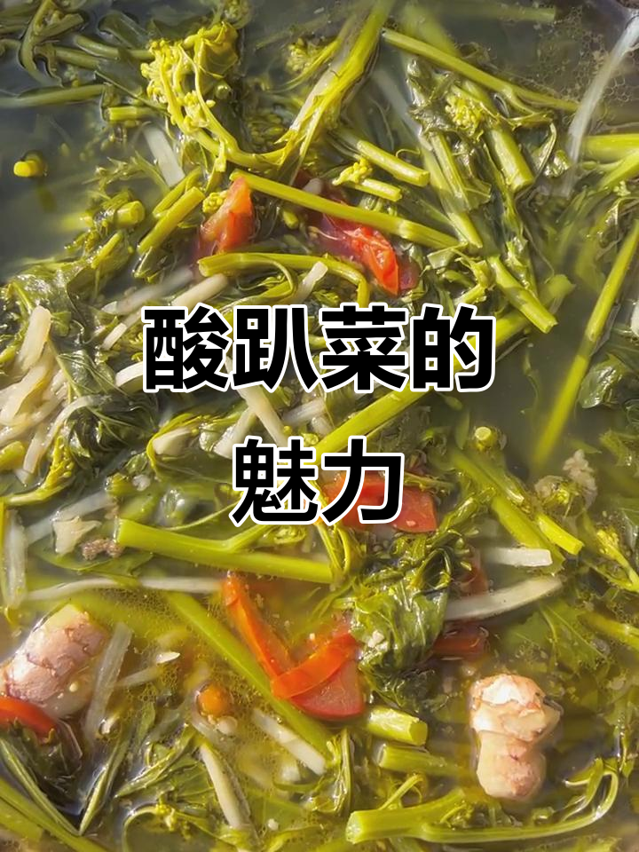 酸趴菜的魅力