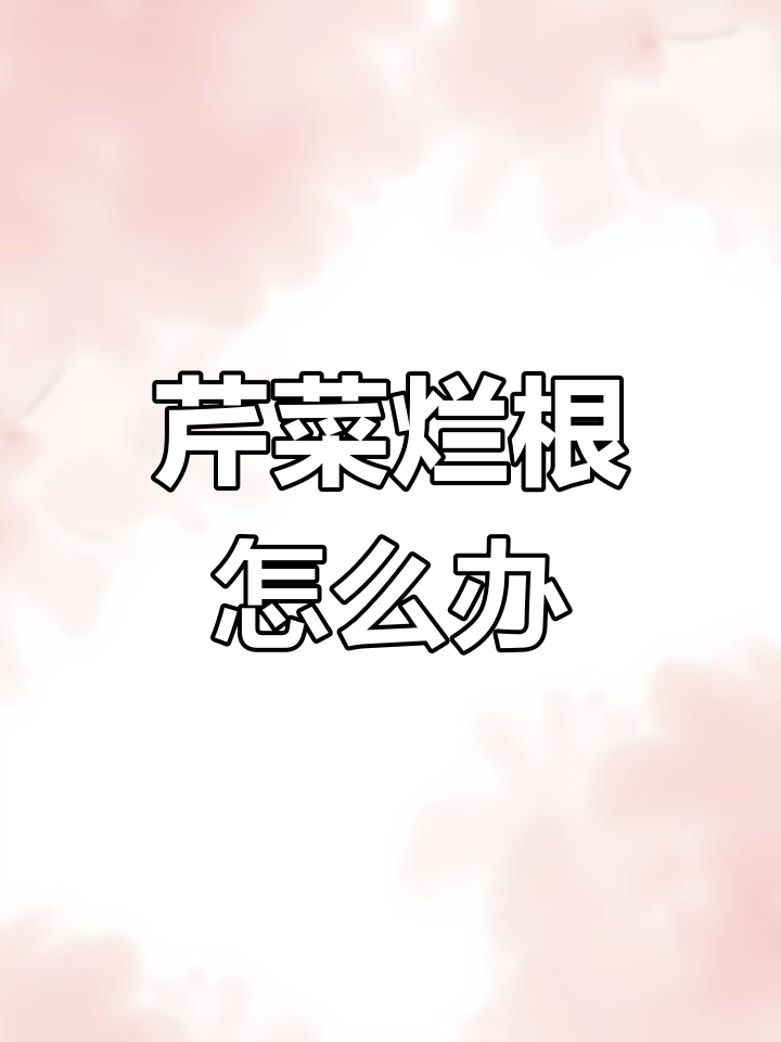 芹菜苗根部腐烂,如何补救?
