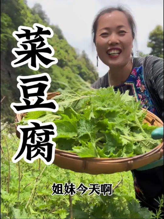 菜豆腐 今天中饭菜