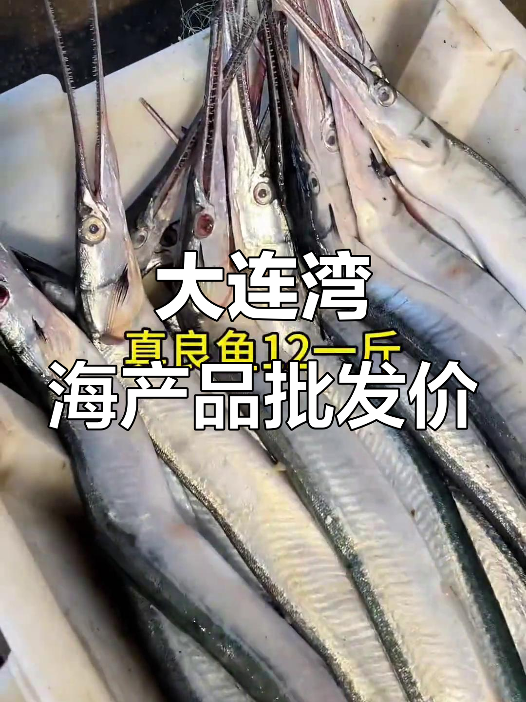大连湾海鲜市场最新价格,鲅鱼、银鲳等一应俱全