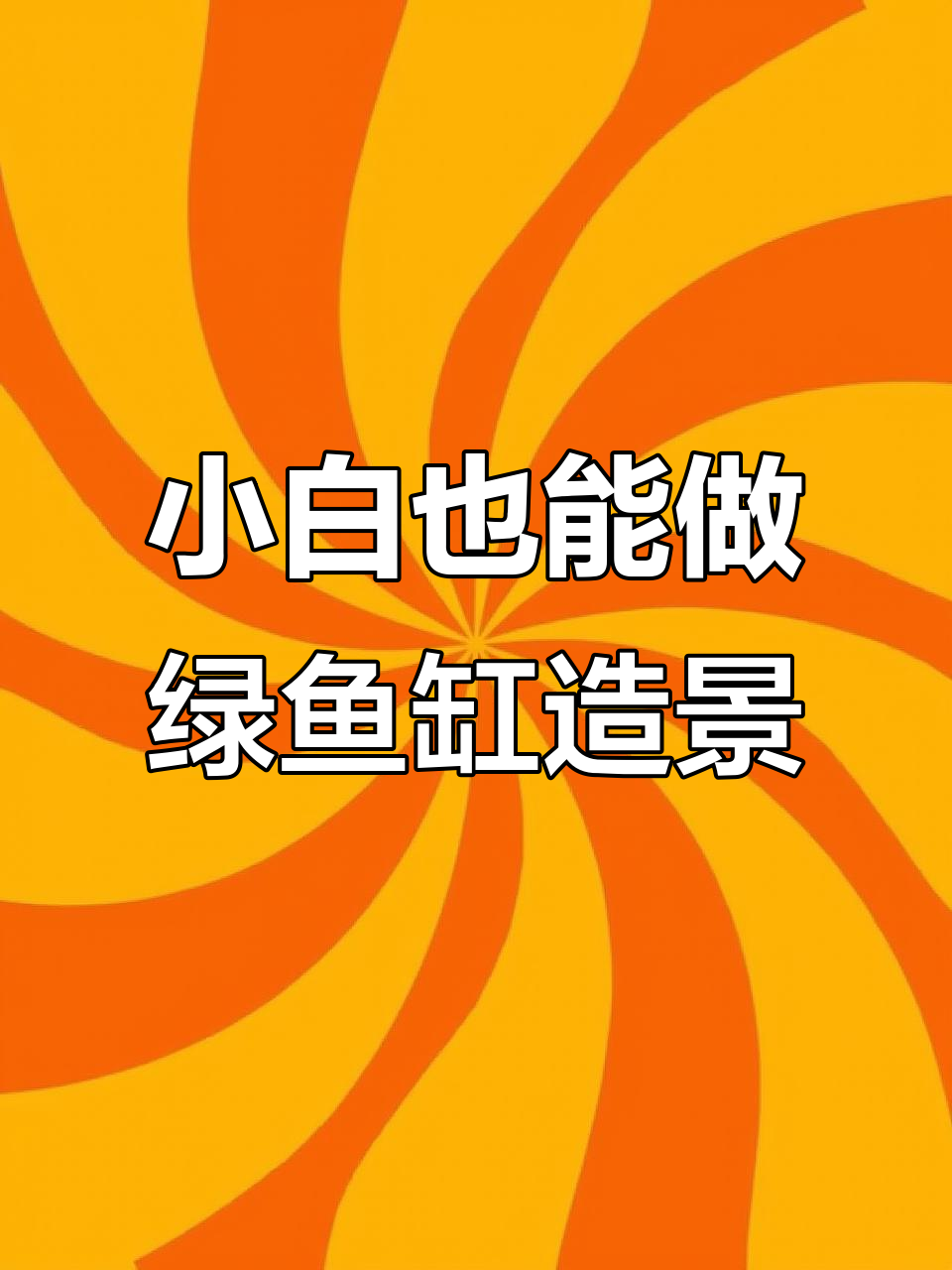 简单步骤教你打造30厘米绿鱼缸造景，轻松上手！
