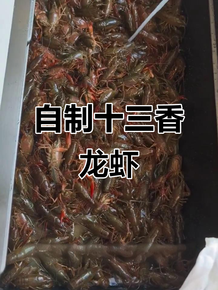 家庭版十三香小龙虾，轻松做出6斤美味