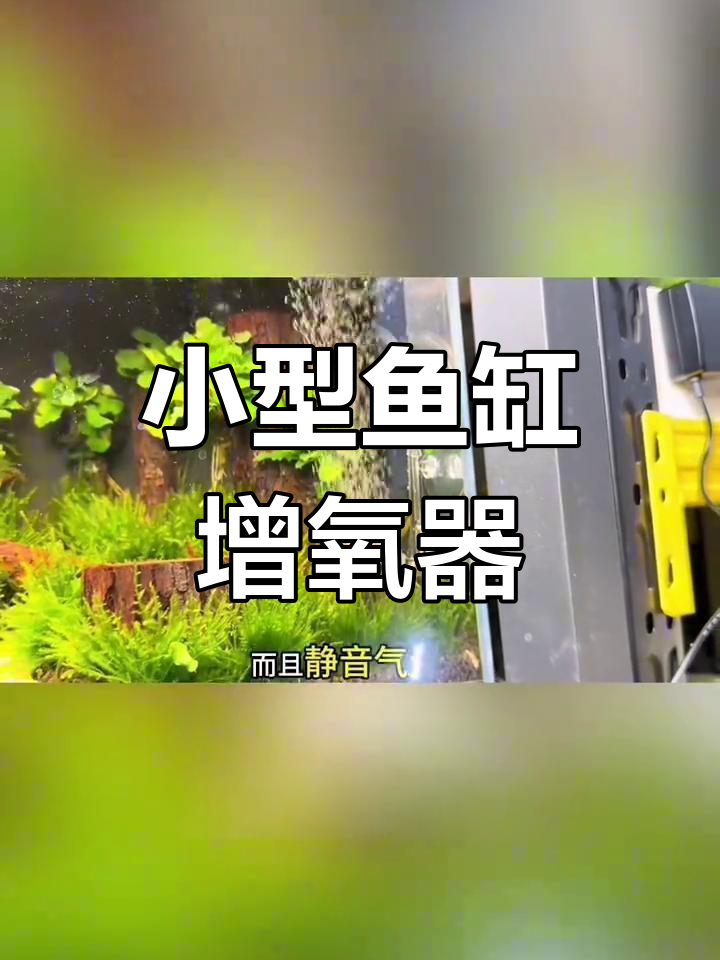 小米鱼缸增氧泵,小巧实用,为鱼儿提供充足氧气