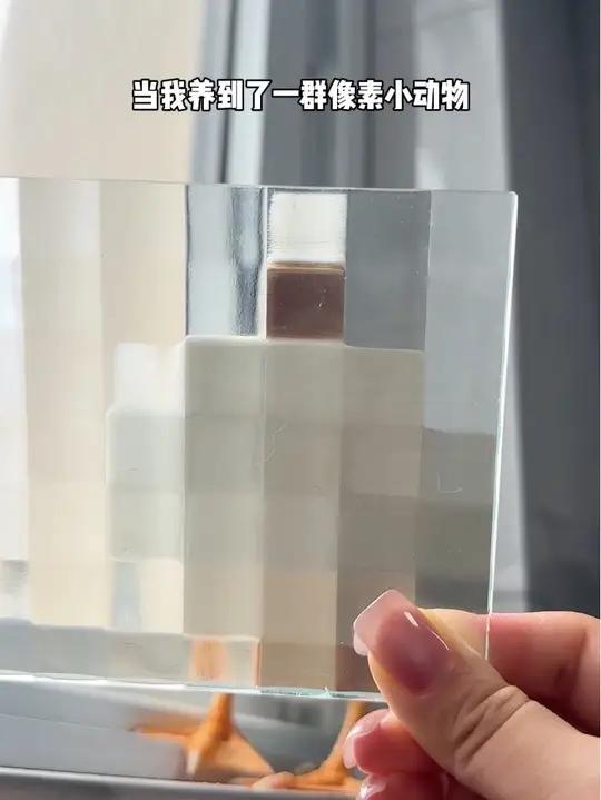 太好啦!是方鸭和方猫们