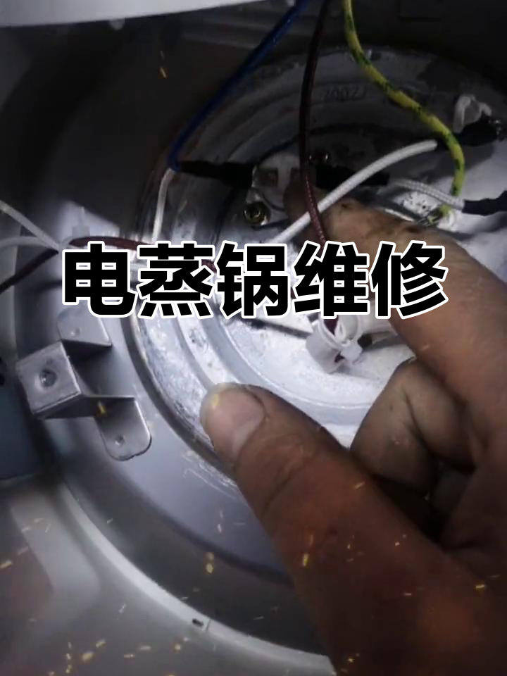 电蒸锅故障诊断与修复