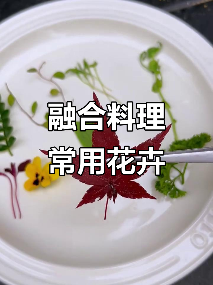 9种常见装饰花草,让融合料理更出彩