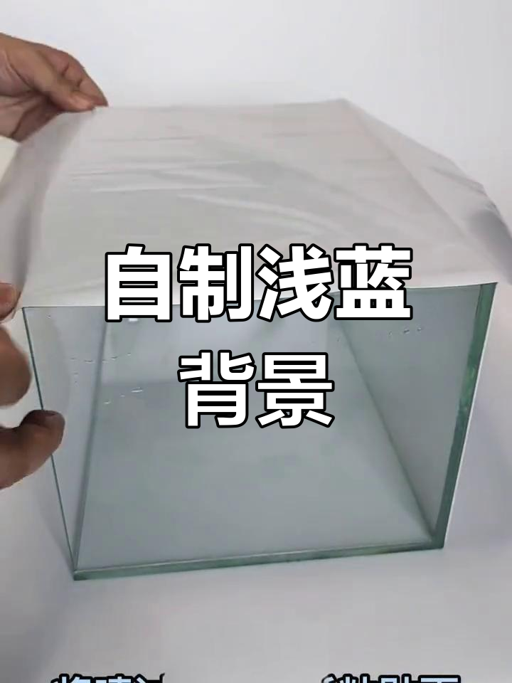 浅蓝色生态缸背景打造,鱼缸里的自然美景