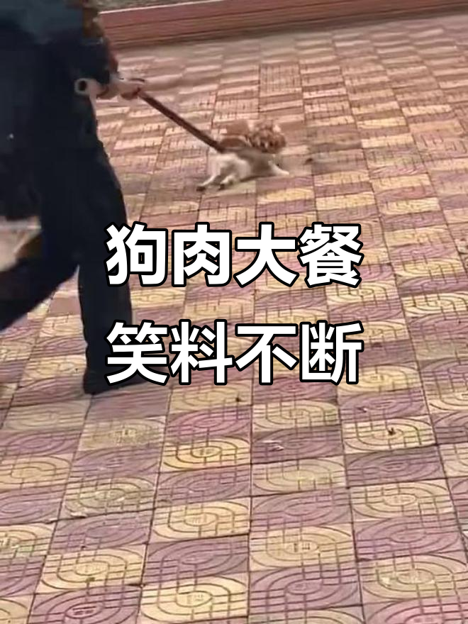 吃狗肉引发的搞笑时刻，裤子没洗就敢玩！