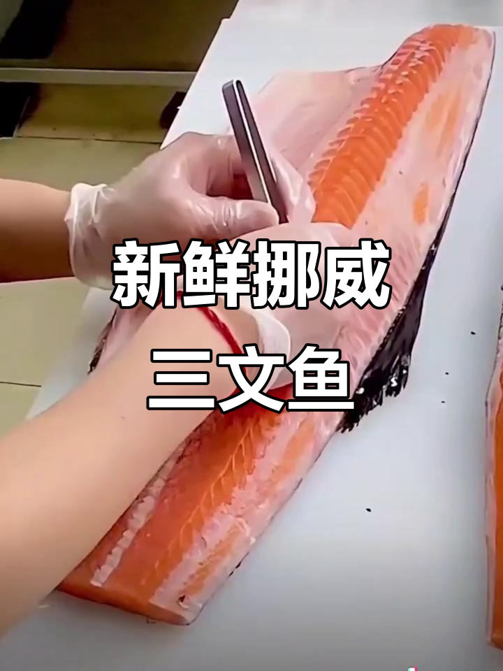 新鲜挪威三文鱼,冰鲜大西洋鲑肉,无刺生鱼片美味来袭