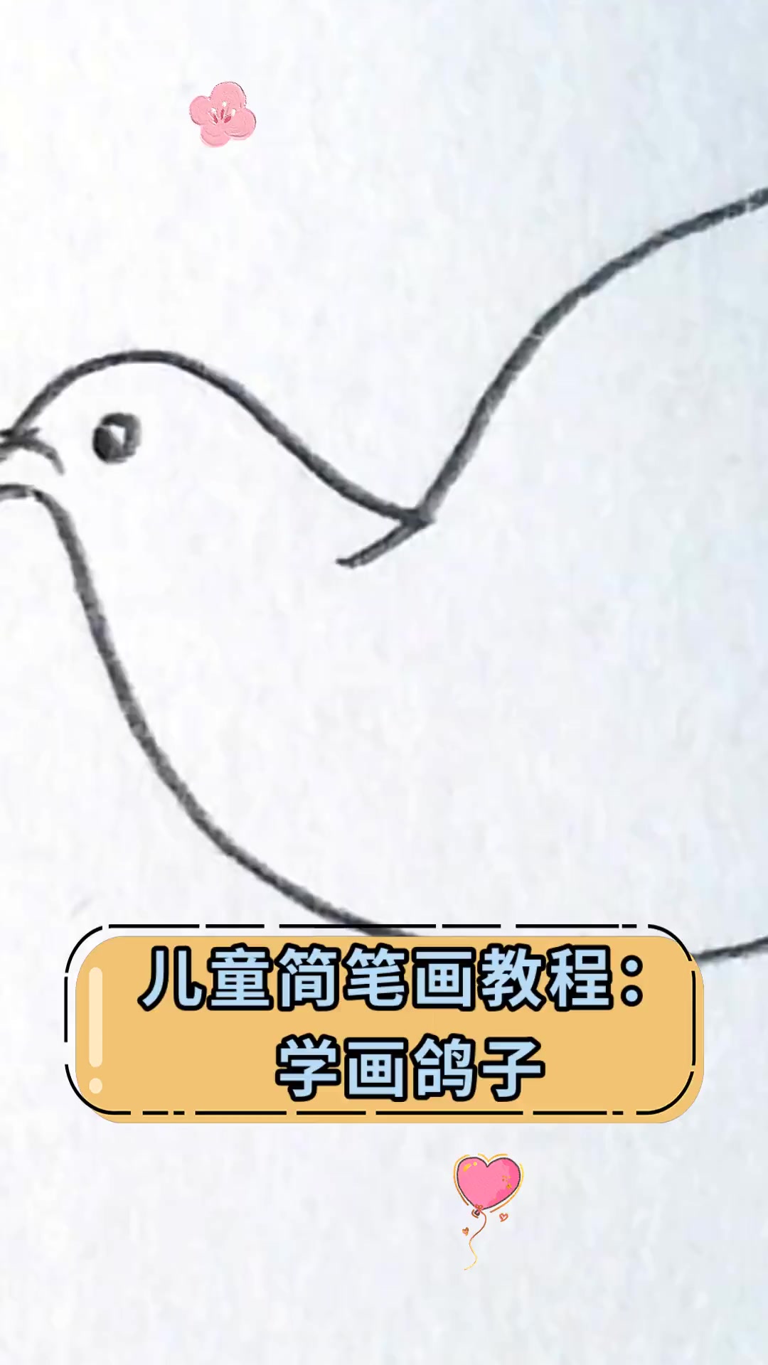 儿童简笔画教程:学画鸽子
