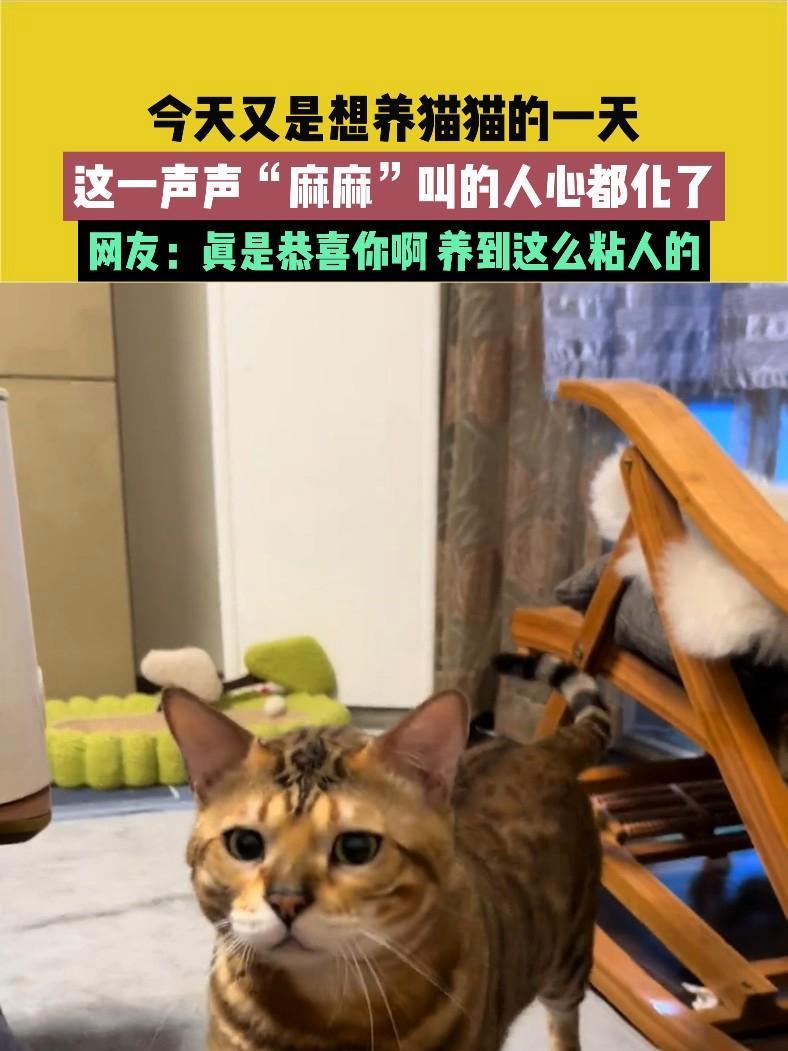 3月20日(发布),山东,素材来源@显眼包李汉堡,“这一声声麻麻叫的人心都化了”今天又是想