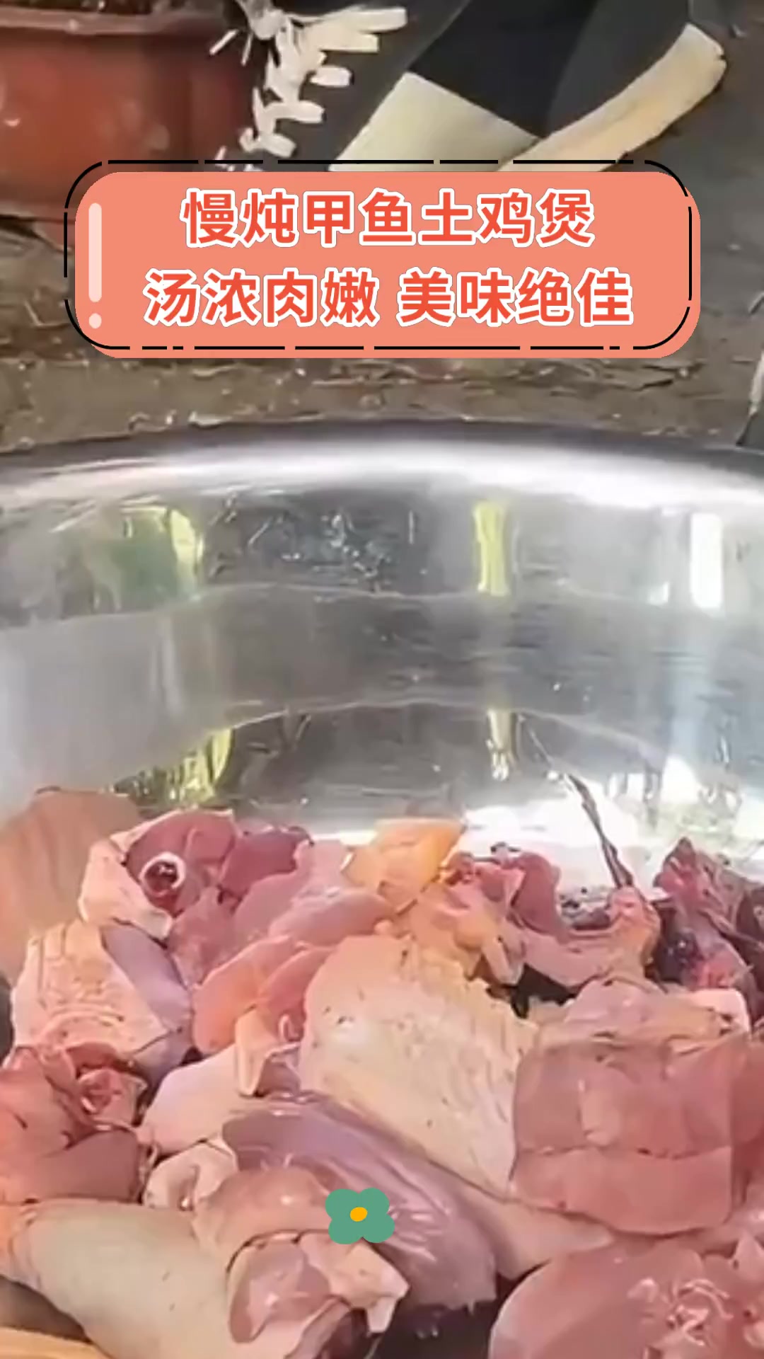 慢炖甲鱼土鸡煲,汤浓肉嫩,美味绝佳