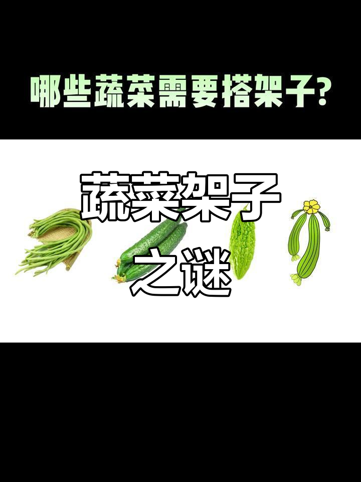 蔬菜搭架子的秘密，你知道吗？