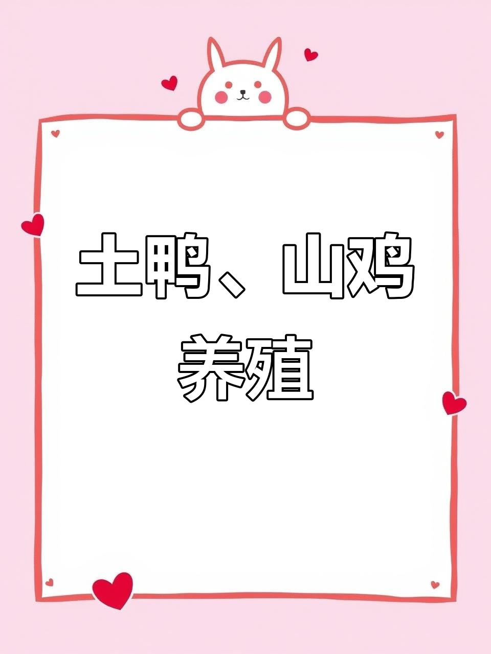 广西武宣土鸭与七彩山鸡养殖,创业新机会